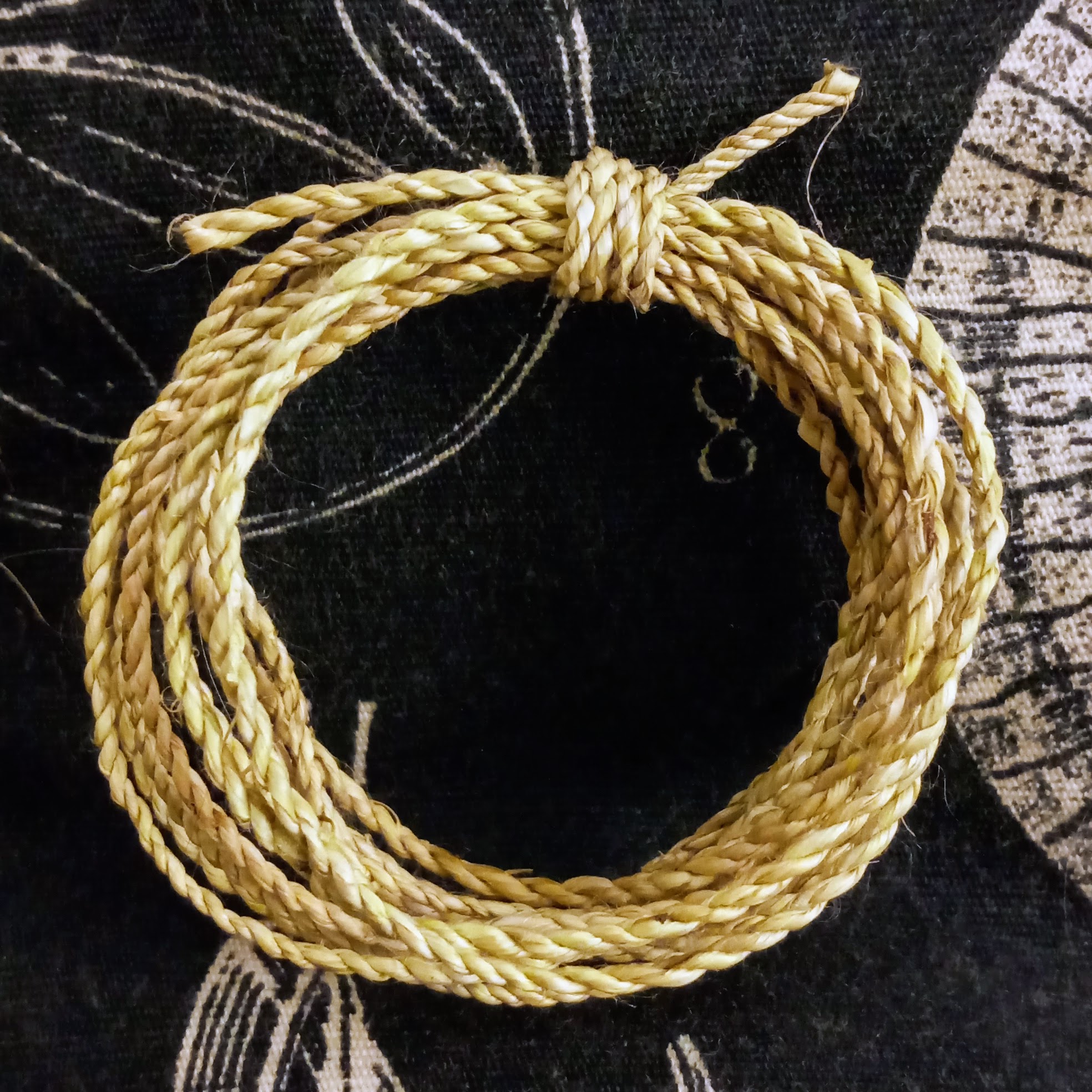 Small amount of cordage